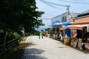 三段壁へと続くさんだん通りの風景