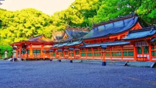 27016007d515cad6d91be709bcb5a6