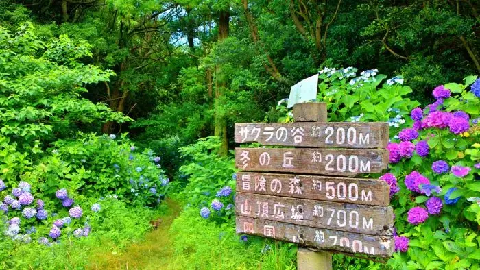 和歌山市森林公園ハイキングコースの案内板