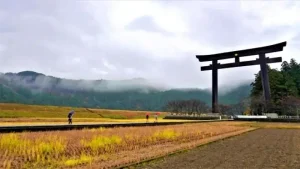 神秘的な雰囲気の参拝道