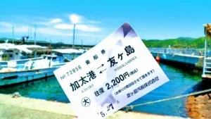 友ヶ島汽船の乗船切符