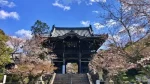 青空とお寺の大門