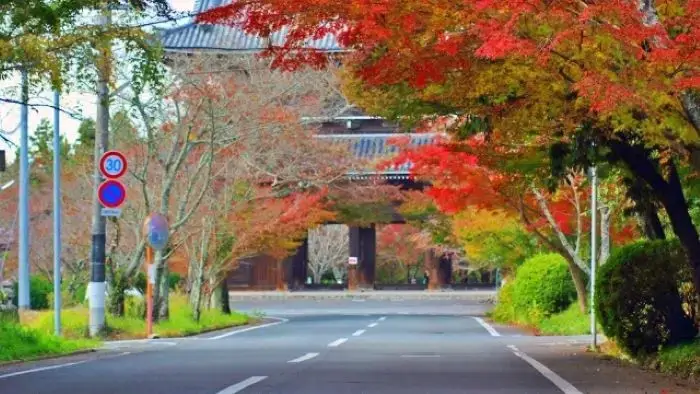 根来寺の大門へ向かう道路