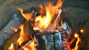 新宮市で1400年続く伝統の火祭り