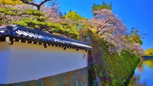 和歌山城の一の橋から眺めた城壁と桜