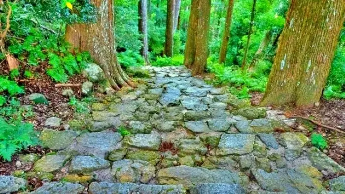 那智の滝へと続く熊野古道の石畳