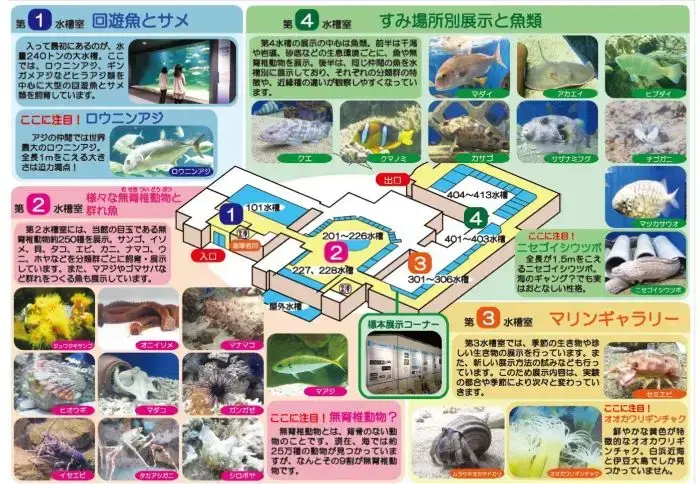 京都大学白浜水族館の館内マップ