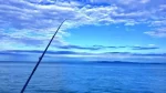 下津ピアーランドで楽しむ海釣り