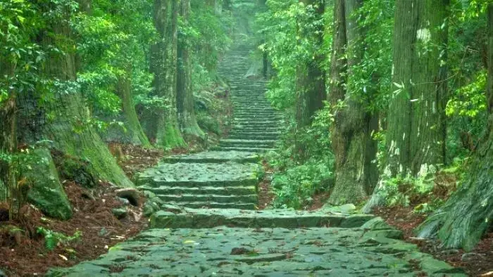 熊野古道大門坂の石畳