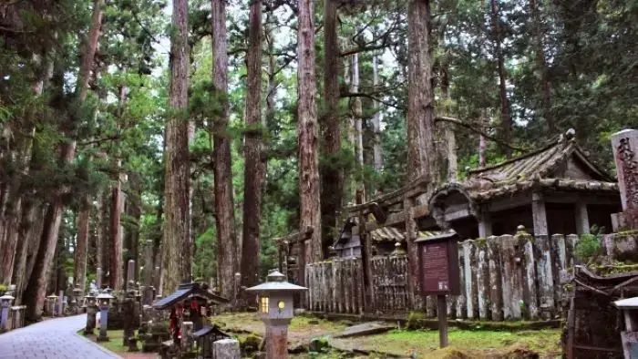 杉の大木が立ち並ぶ神秘的な雰囲気の高野山奥の院