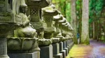 高野山奥の院の参道に立ち並ぶ石灯篭