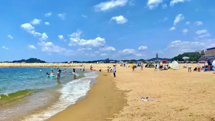 大勢の海水浴客でにぎわう田辺扇ヶ浜海水浴場