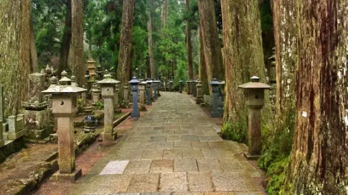 荘厳な雰囲気の高野山奥の院の参道