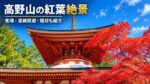高野山の根本大塔と鮮やかに色づいた紅葉の風景