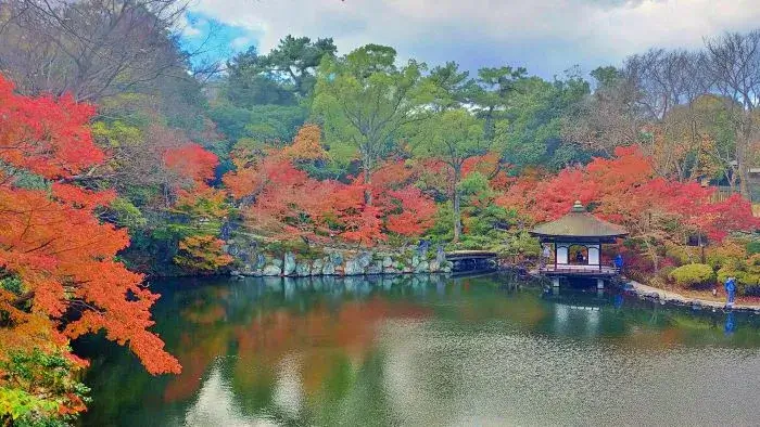 紅葉渓庭園の紅葉の現在の状況（2024年12月10日時点）