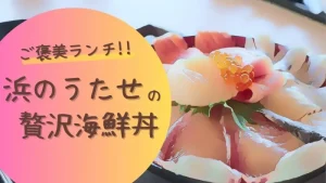 【ご褒美ランチ!!】「浜のうたせ」の贅沢海鮮丼