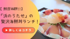 【鮮度抜群!!】「浜のうたせ」の贅沢海鮮丼ランチ！