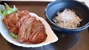 有田市特産品の「ほねく天」と釜揚げシラス