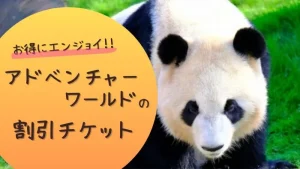 お得にエンジョイ!!アドベンチャーワールドの割引チケット