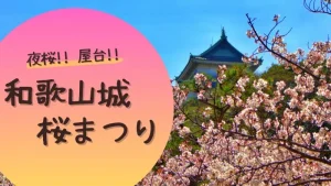屋台や夜桜のお花見を楽しめる和歌山城桜まつり