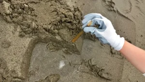 浜の宮ビーチの砂浜から飛び出すマテ貝潮干狩り