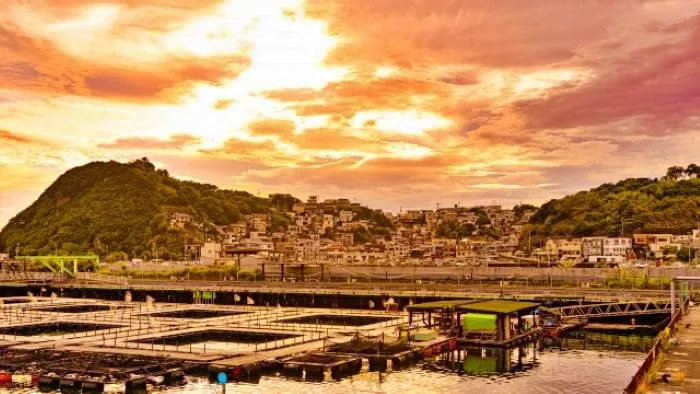 夕暮れ時の雑賀崎漁港