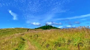 【生石高原】ススキの現在状況（2025年9月30日時点）