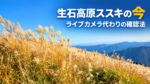 生石高原の秋のススキと青空、山並み。「生石高原ススキの今」「ライブカメラ代わりの確認法」の文字入り