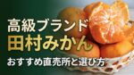 竹かごに盛られた高級ブランド「田村みかん」と、皮をむいてジューシーな果肉を見せる新鮮な果実