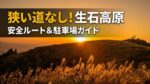 夕陽に照らされた生石高原の黄金色のススキと山並みの絶景(狭い道を避ける安全アクセスルートと駐車場ガイド)