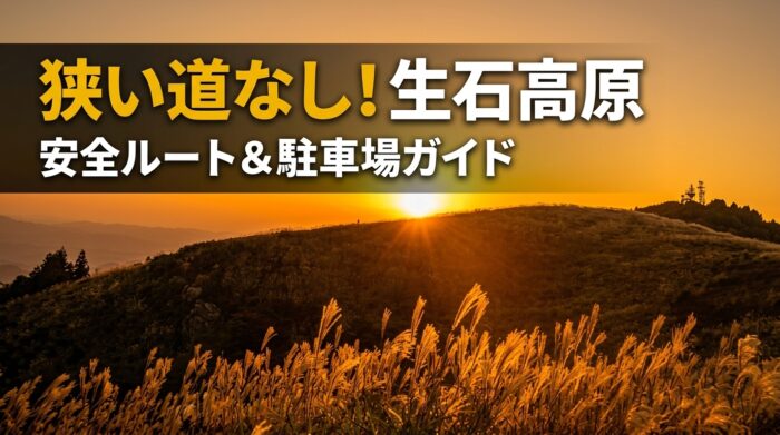 夕陽に照らされた生石高原の黄金色のススキと山並みの絶景(狭い道を避ける安全アクセスルートと駐車場ガイド)