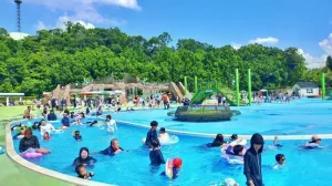 大勢の遊泳客でにぎわう橋本市民プール