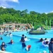 大勢の遊泳客でにぎわう橋本市民プール