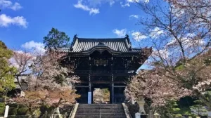 青空とお寺の大門