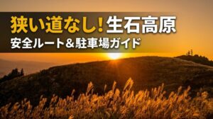 夕陽に照らされた生石高原の黄金色のススキと山並みの絶景（狭い道を避ける安全アクセスルートと駐車場ガイド）