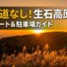 夕陽に照らされた生石高原の黄金色のススキと山並みの絶景(狭い道を避ける安全アクセスルートと駐車場ガイド)